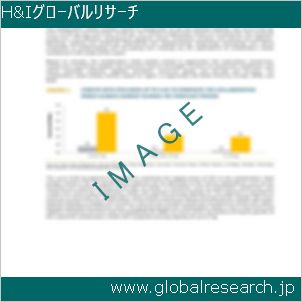 グローバルリサーチ調査レポートのイメージ